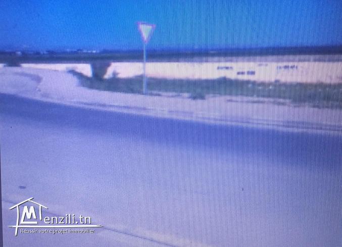 Terrain 6667 m2 à Jbel ouest