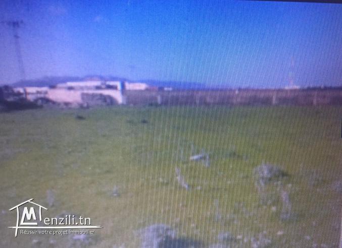 Terrain 6667 m2 à Jbel ouest