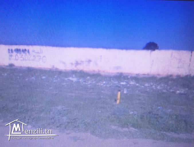 Terrain 6667 m2 à Jbel ouest