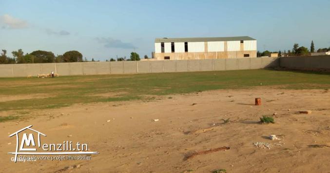 Terrain à vendre Sfax أرض للبيع