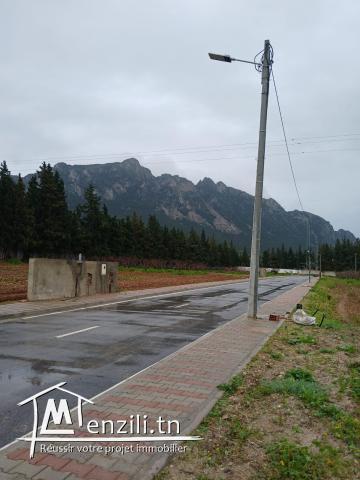 Terrain mornag 1000M2