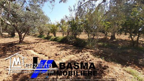 Une ferme à vendre situé à Foukaiya chatt mariem