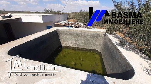 Une ferme à vendre situé à Foukaiya chatt mariem