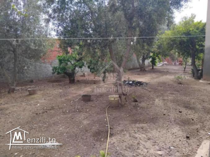 Maison S+3 avec jardin et garage à vendre à Hammamet51355351