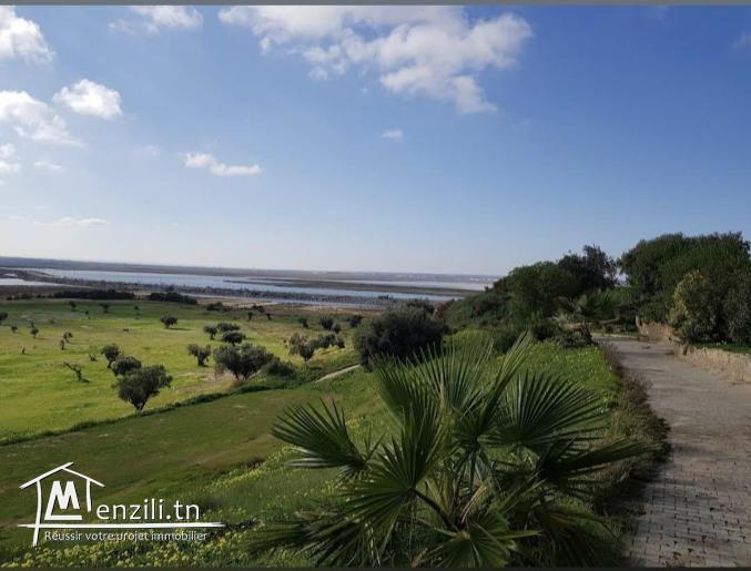 Deux maisons ???? à vendre à Monastir