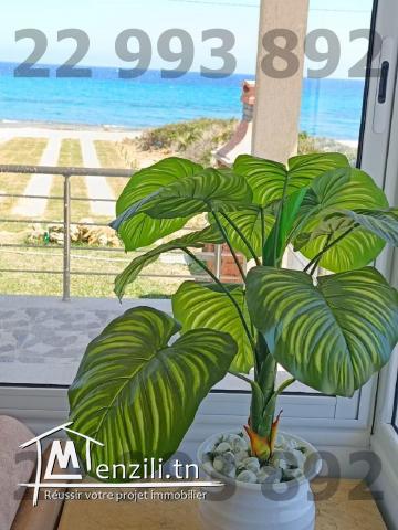 S+2 Pied dans l'eau à kerkouane 22.993.892 - 48.048.048