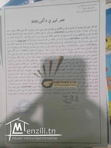 Local Commercial Chotrana