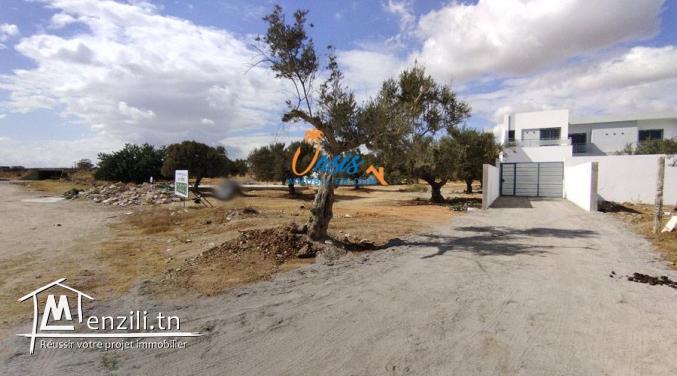 Terrain jinene Hammamet