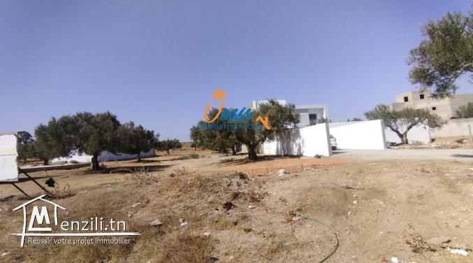 Terrain jinene Hammamet