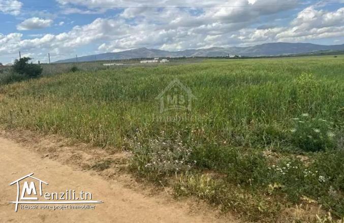 Terrain de 7500 m² à vendre à Hammamet Sud 51355351