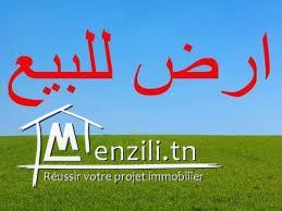 Un terrain agricole à vendre situé à Zaghouan el fahs