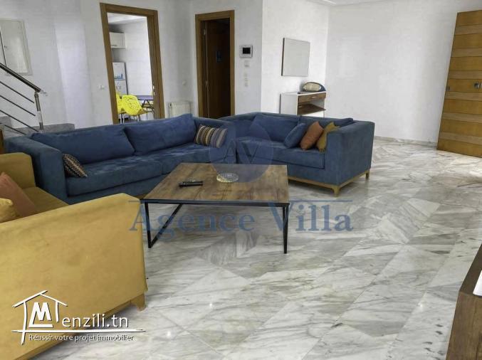 un duplex s3 aux berges du lac2