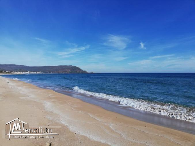 Une villa S+4 à la plage de Haouaria