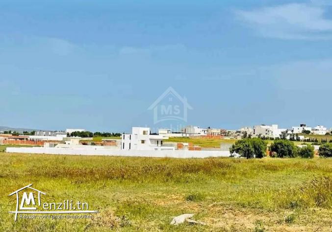 Un terrain de 300 m² à El Menchar à vendre 51355351