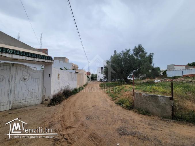 Lot de terrain de 240 m² à Hammamet à vendre à 100 MD 51355351