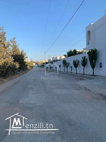Belle maison S+2 avec jardin à Hammamet Sud à vendre 51355351