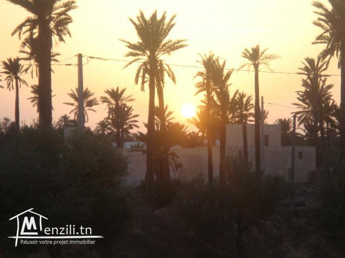 Terrain avec petite maison Titre