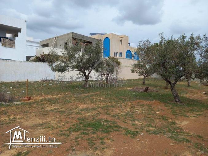 Terrain de 250 m² à Hammamet Nord à vendre 51355351
