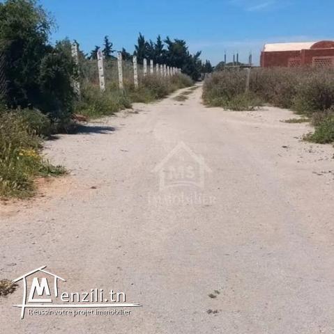 Terrain clôturé de 540 m² à Hammamet Sud à vendre 51355351