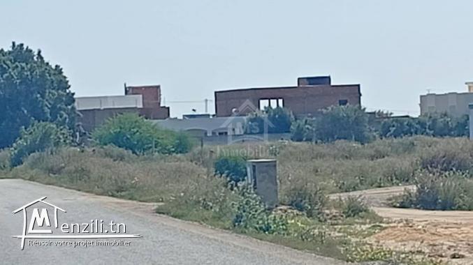Terrain clôturé de 540 m² à Hammamet Sud à vendre 51355351