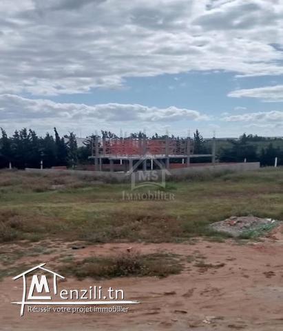 Terrain clôturé de 540 m² à Hammamet Sud à vendre 51355351