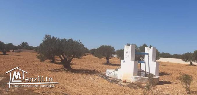 Grand Terrain vue sur mer  à Aghir Djerba Titre bleu