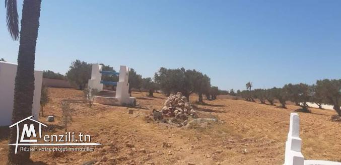 Grand Terrain vue sur mer  à Aghir Djerba Titre bleu