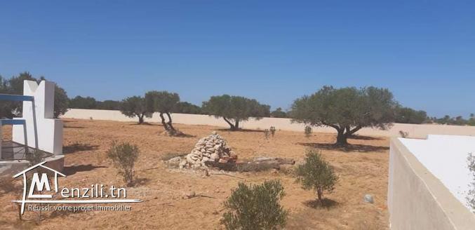 Grand Terrain vue sur mer  à Aghir Djerba Titre bleu