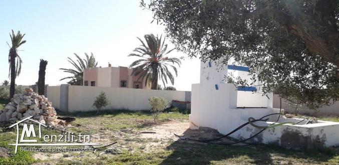 Grand Terrain vue sur mer  à Aghir Djerba Titre bleu