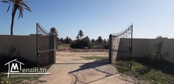 Grand Terrain vue sur mer  à Aghir Djerba Titre bleu