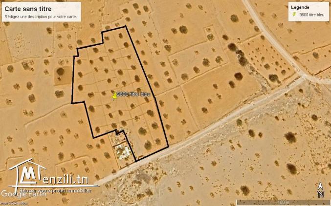 Grand Terrain vue sur mer  à Aghir Djerba Titre bleu