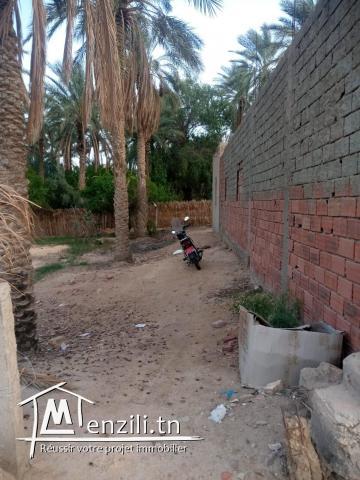 Terrain avec titre blue