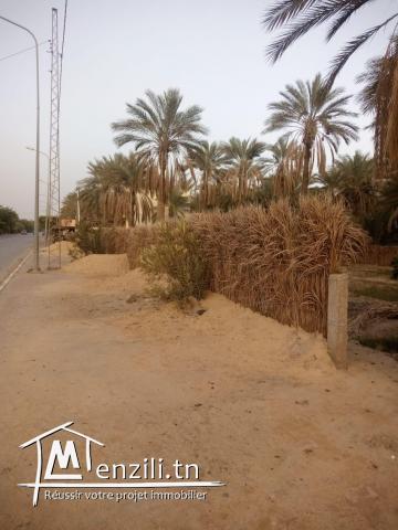 Terrain avec titre blue