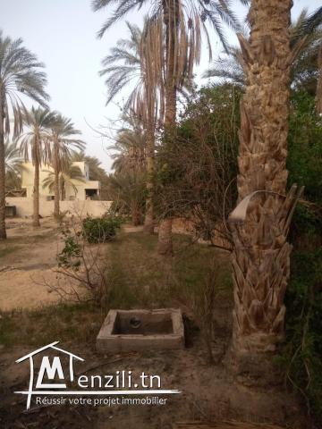 Terrain avec titre blue