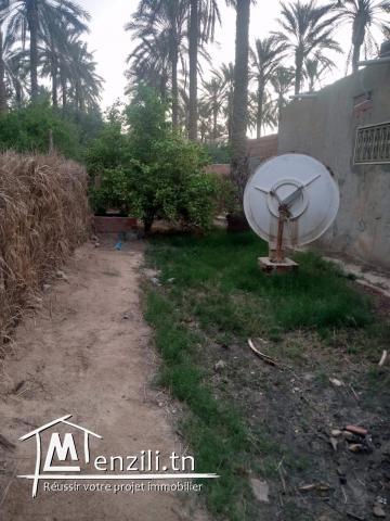 Terrain avec titre blue