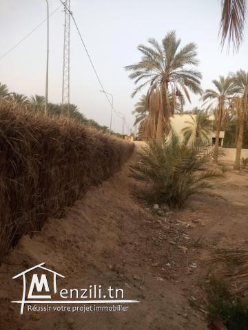 Terrain avec titre blue