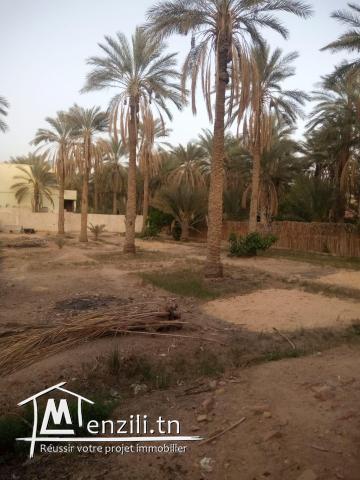 Terrain avec titre blue