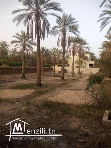 Terrain avec titre blue