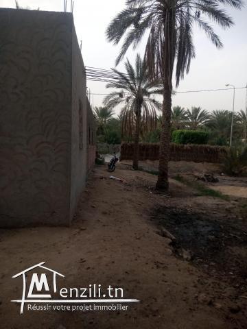 Terrain avec titre blue