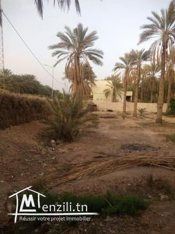 Terrain avec titre blue