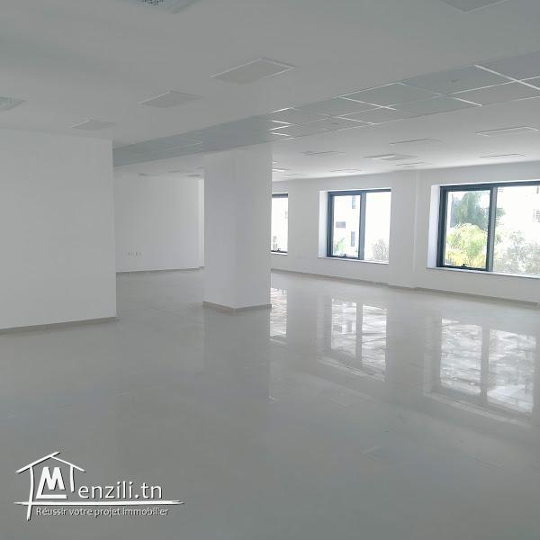 Coquette bureau 720 m² tHS au lac 2