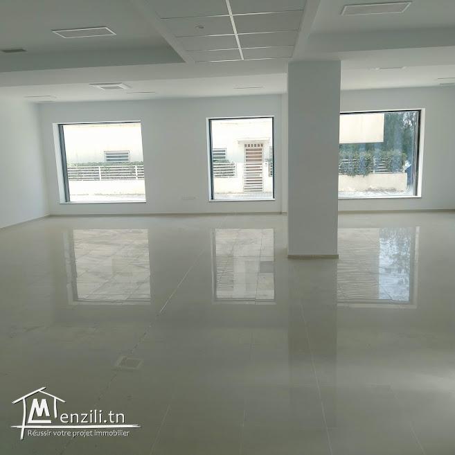 Coquette bureau 720 m² tHS au lac 2