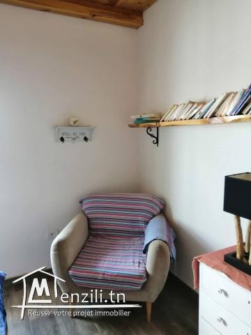 MAISON CHALET A VENDRE