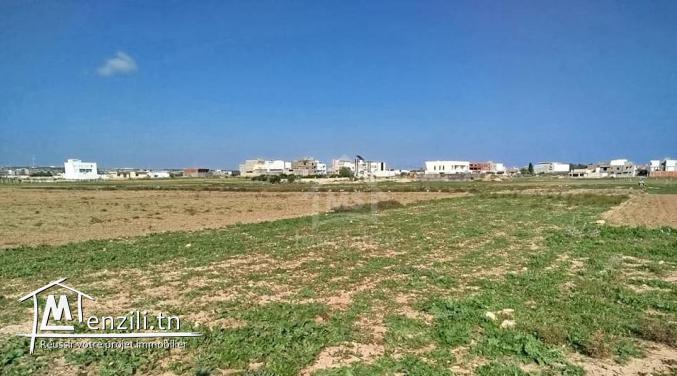 Un terrain de 669 m² à Maamoura à vendre 51355351