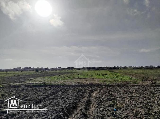 Un terrain de 669 m² à Maamoura à vendre 51355351