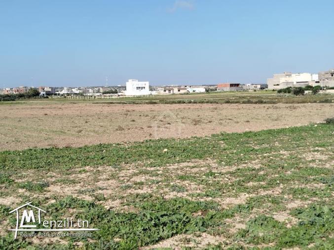 Un terrain de 669 m² à Maamoura à vendre 51355351