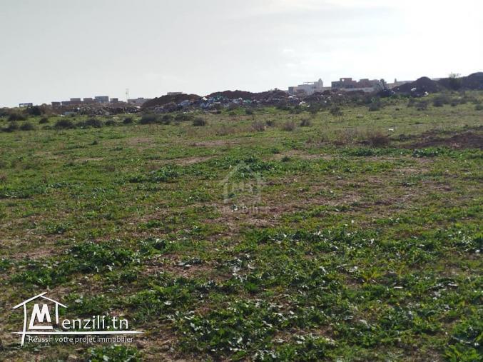 Un terrain de 669 m² à Maamoura à vendre 51355351