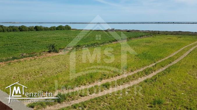 Un terrain pieds dans l'eau avec 2 garages à Korba à vendre 51355351