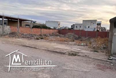 Terrain mourouj jendouba