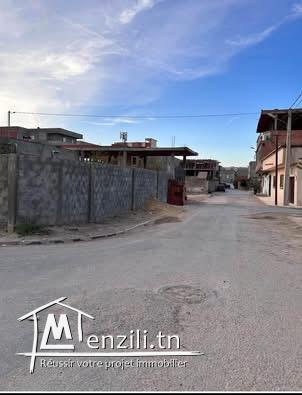 Terrain mourouj jendouba